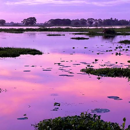 Lake Face Cabana ทิซซามาฮารามา ภายนอก รูปภาพ