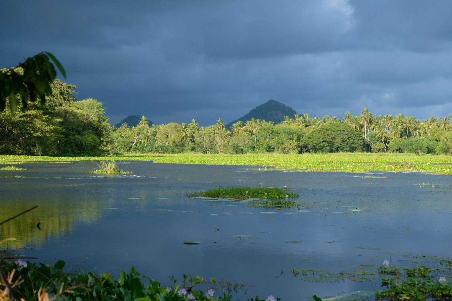 Lake Face Cabana ทิซซามาฮารามา ภายนอก รูปภาพ