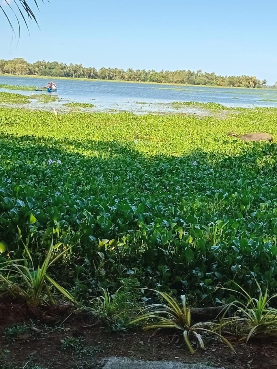 Lake Face Cabana ทิซซามาฮารามา ภายนอก รูปภาพ
