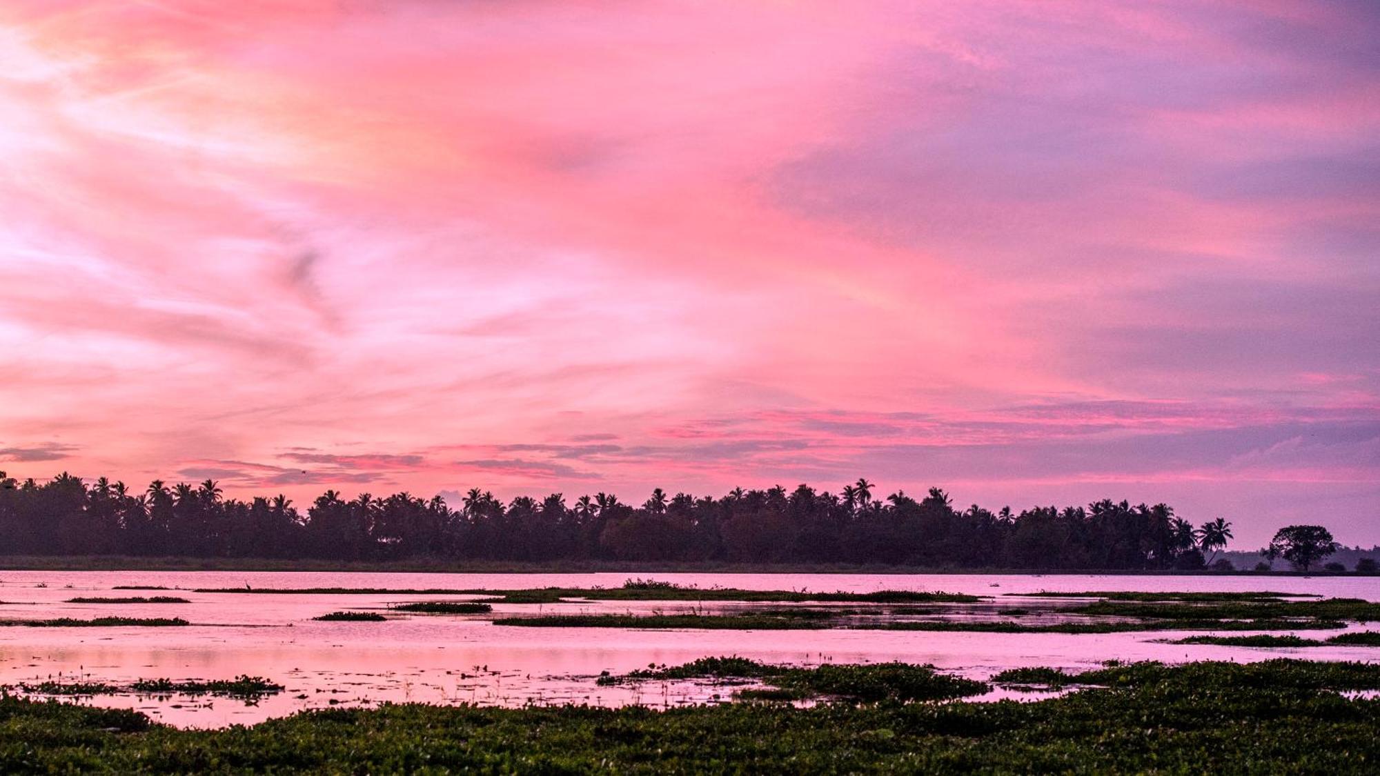 Lake Face Cabana ทิซซามาฮารามา ภายนอก รูปภาพ