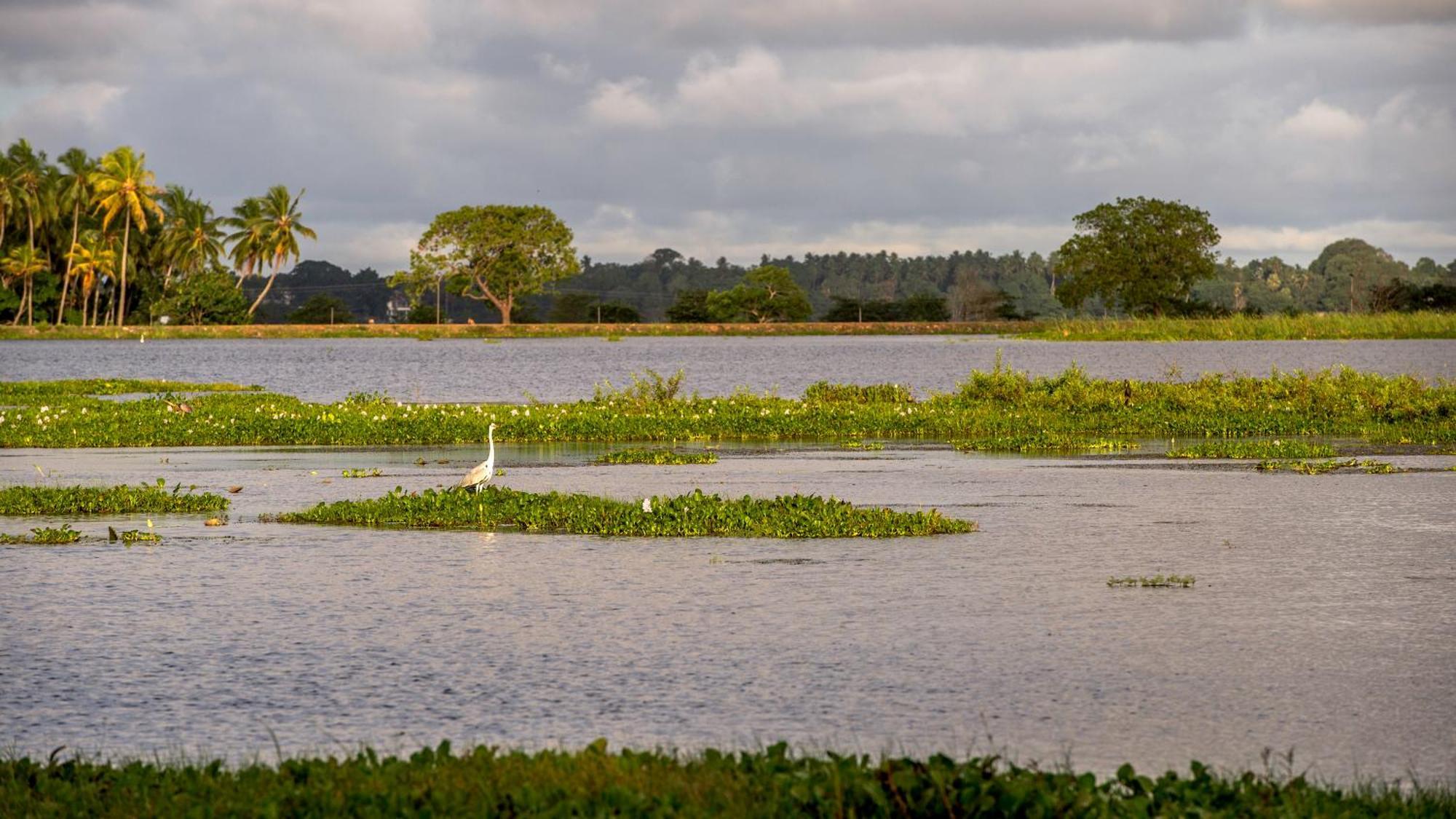 Lake Face Cabana ทิซซามาฮารามา ภายนอก รูปภาพ
