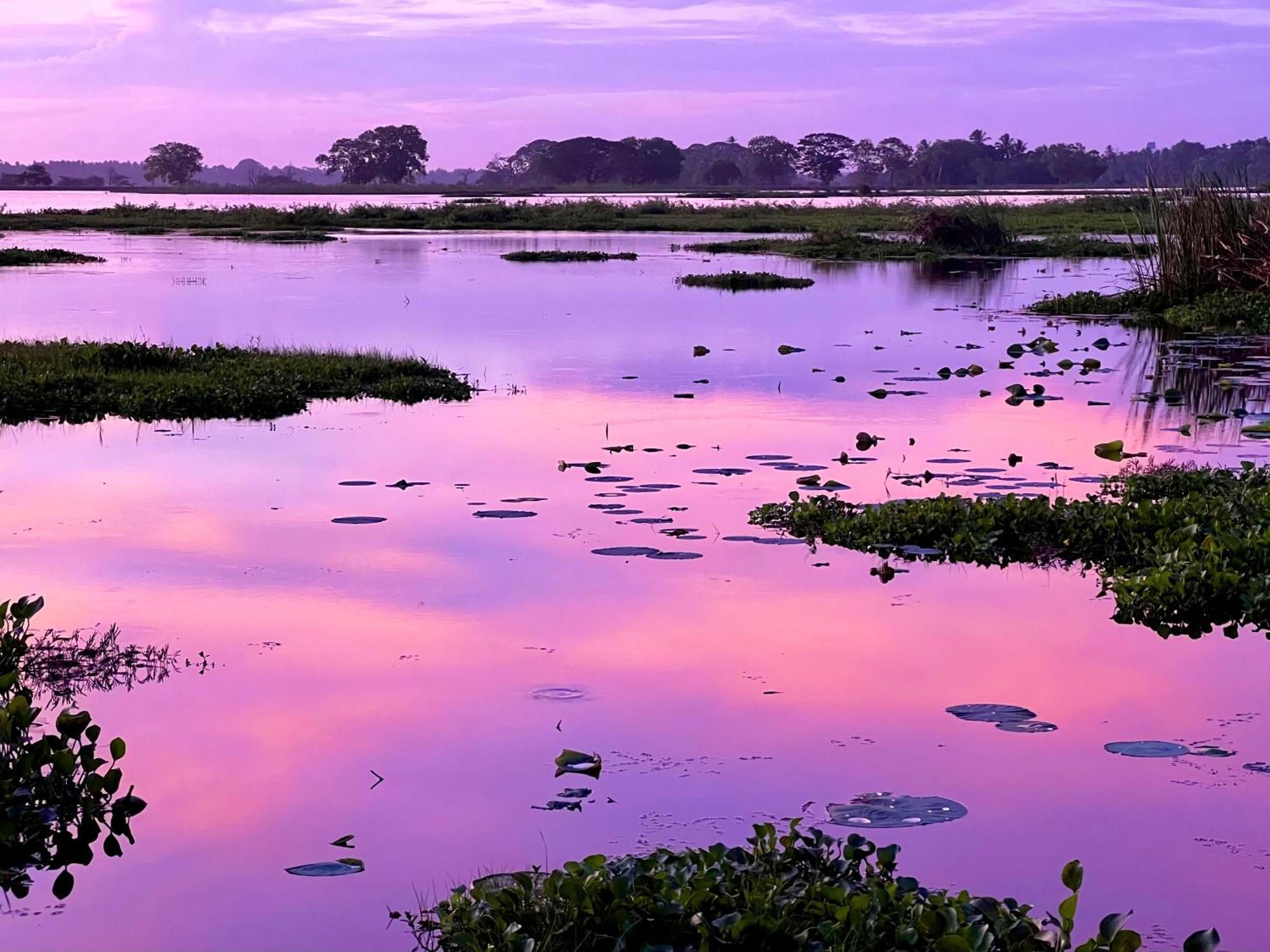 Lake Face Cabana ทิซซามาฮารามา ภายนอก รูปภาพ
